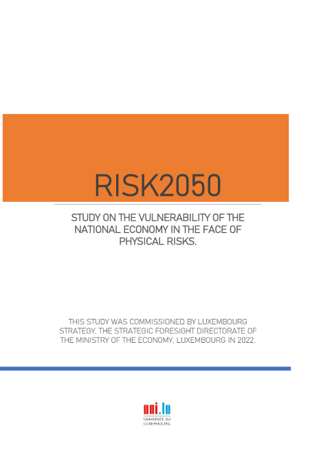 RISK2050 Final Report Illustration